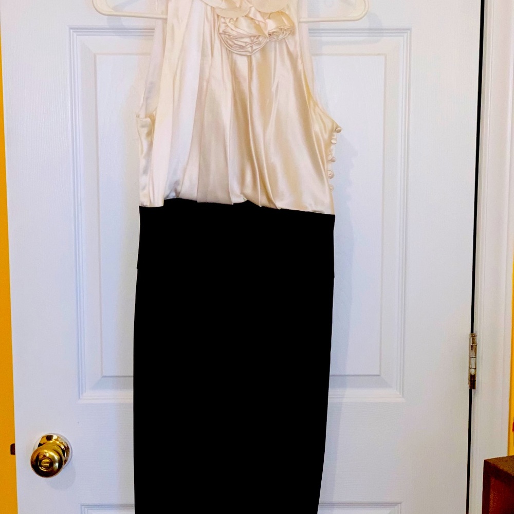 BCBG Maxazria Dress